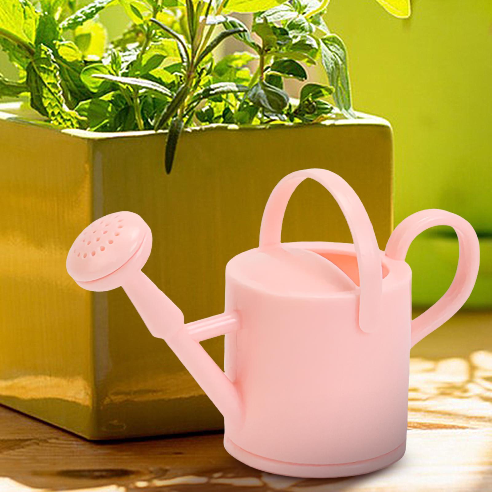 บัวรดน้ำเด็กเล็ก บัวรดน้ำดอกไม - Plant Parent บทวิจารณ์และราคา